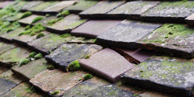 Wellow roof repair costs